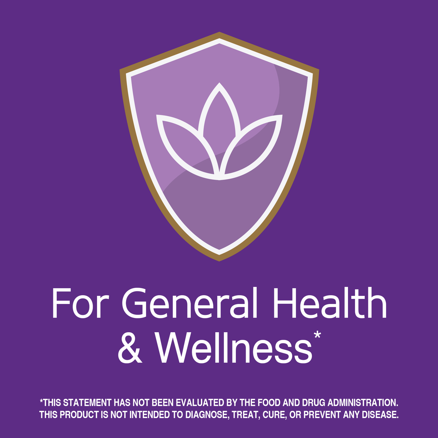 21st Century Apple Cider Vinegar - Gold Nutrition