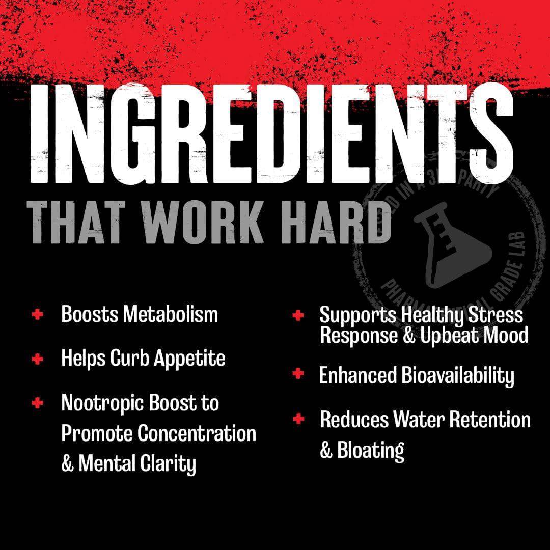 Animal Advanced Cuts - Gold Nutrition
