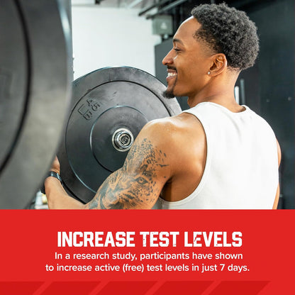 Six Star Testosterone Booster - Gold Nutrition