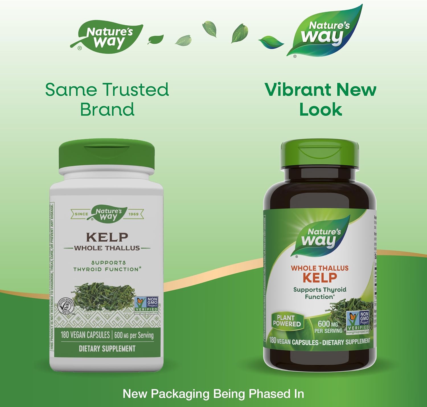 Nature's Way Kelp - Gold Nutrition