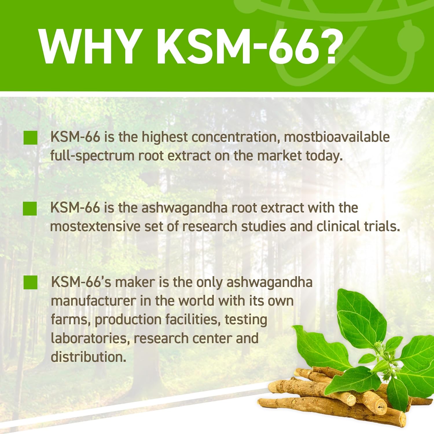 Applied Nutrition Ashwagandha KSM-66 - Gold Nutrition