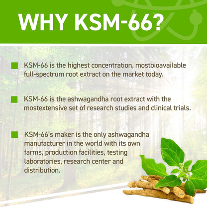 Applied Nutrition Ashwagandha KSM-66 - Gold Nutrition
