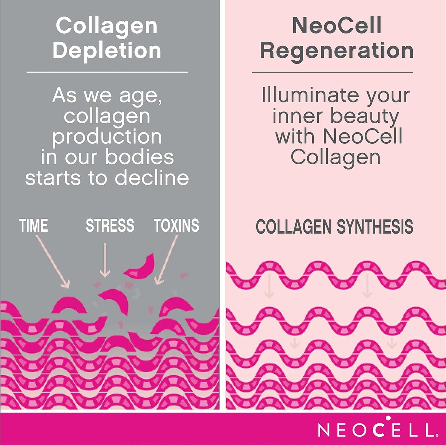 NeoCell Super Collagen With Vitamin C & Biotin - Gold Nutrition